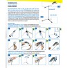 Główka do statywu MedAll 5 cm - Lampa Bioptron Zepter Poland  - części serwisowe / zamienne