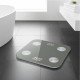 Łazienkowa waga kinetyczna Zest Zepter